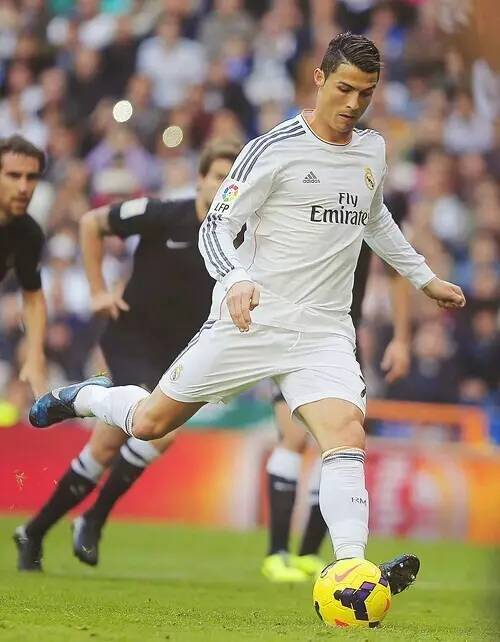 表现而闻名 表现而闻名