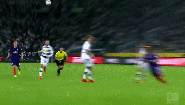 他们的快速 他们的快速